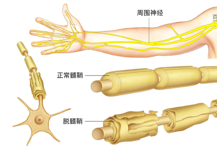 微信图片_20220714114406.png